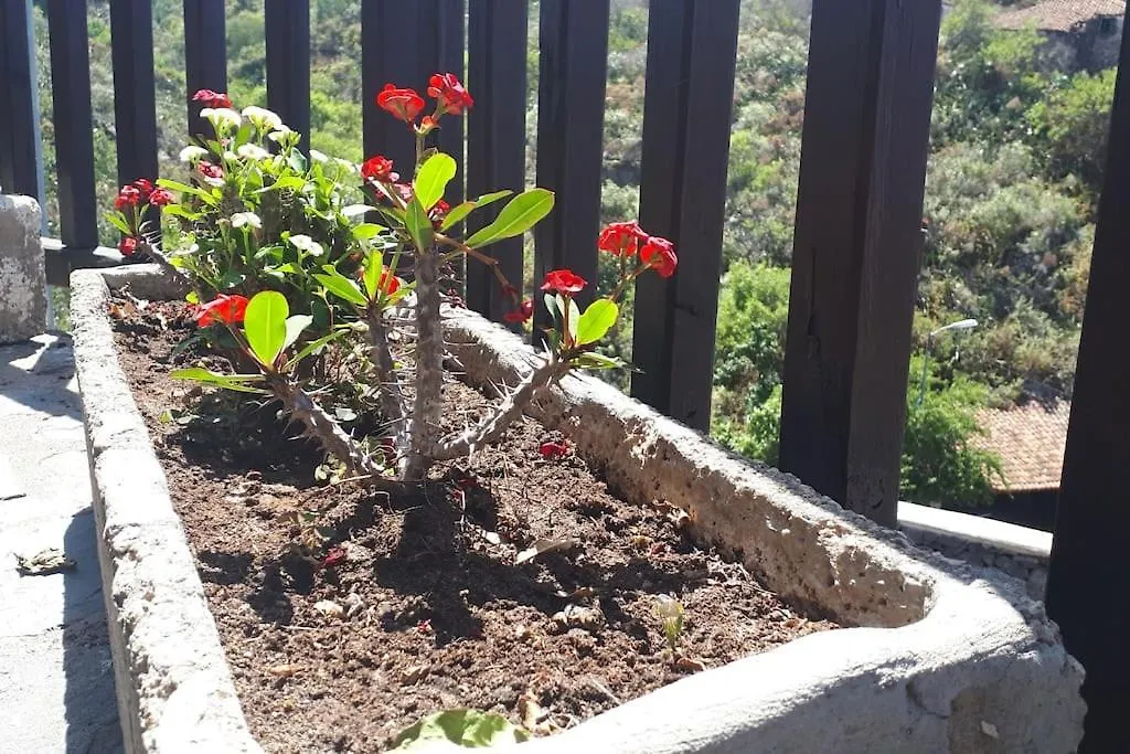 Nyaraló Casa Tia Rosa. Villa Costa Adeje  Spanyolország